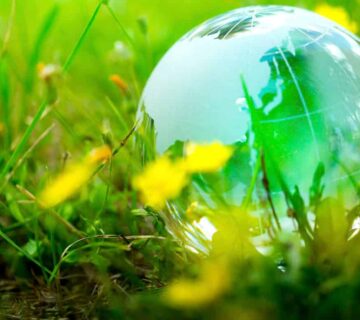 ISO-14001-Banner-Copy-e1552754368790